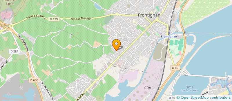 localisation de l'entreprise LA SALAMANDRE BLEUE à FRONTIGNAN