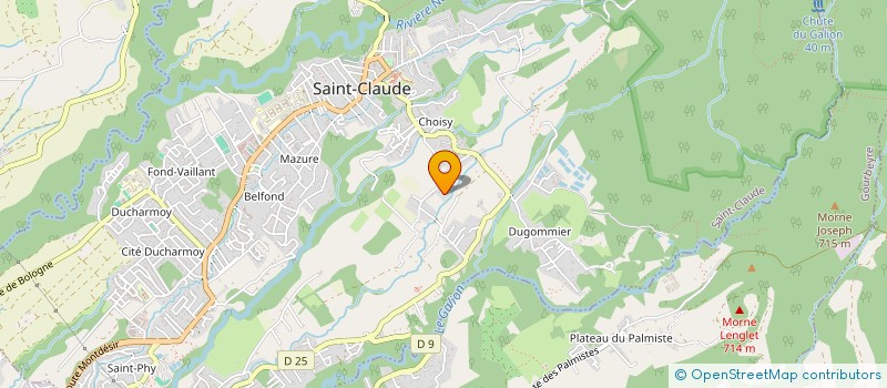 localisation de l'entreprise LA SAUVAGE à SAINT-CLAUDE