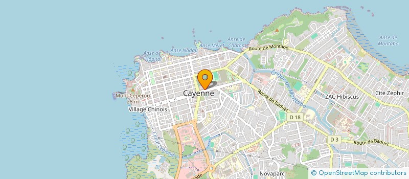 localisation de l'entreprise LA SAVEUR DE L'AMOUR  CAYENNE