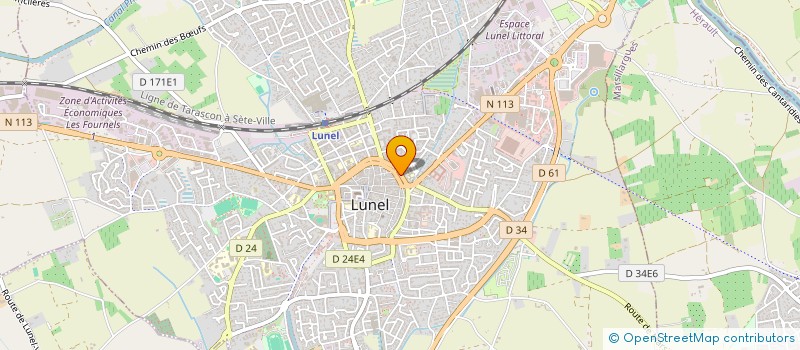 localisation de l'entreprise LA SAVEUR DES METS à LUNEL