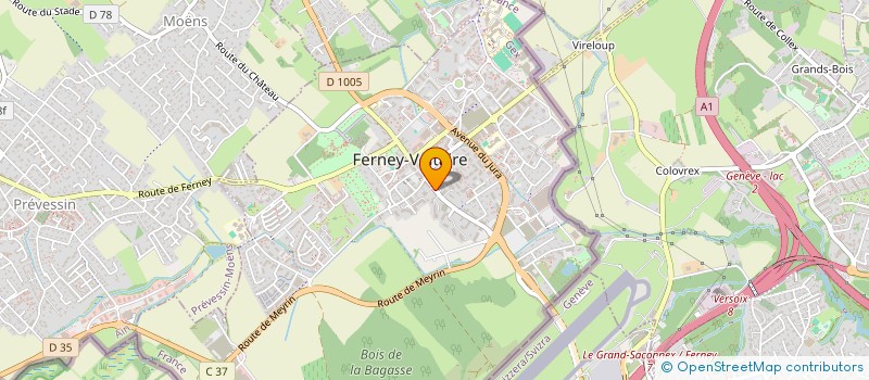localisation de l'entreprise LA SAVOYARDE à FERNEY-VOLTAIRE