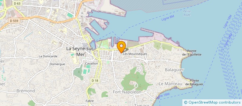 localisation de l'entreprise LA SOCIETE POUR LA PREVENTION DE LA CRUAUTE ENVERS LES ANIMAUX DU VAR (LA-SPCA) à LA SEYNE-SUR-MER