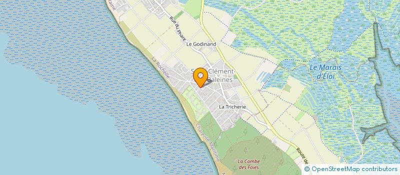 localisation de l'entreprise LA SOUPE DES BALEINEAUX  SAINT-CLEMENT-DES-BALEINES