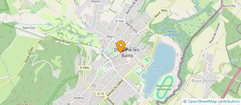 localisation de l'entreprise LA TERRASSE FLEURIE DE DIVONNE  DIVONNE-LES-BAINS