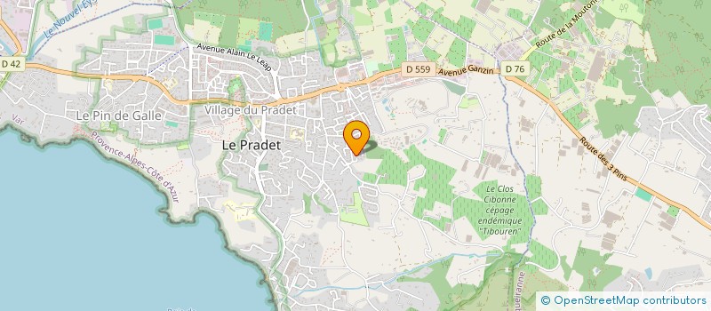 localisation de l'entreprise LA TIDOTE  LE PRADET