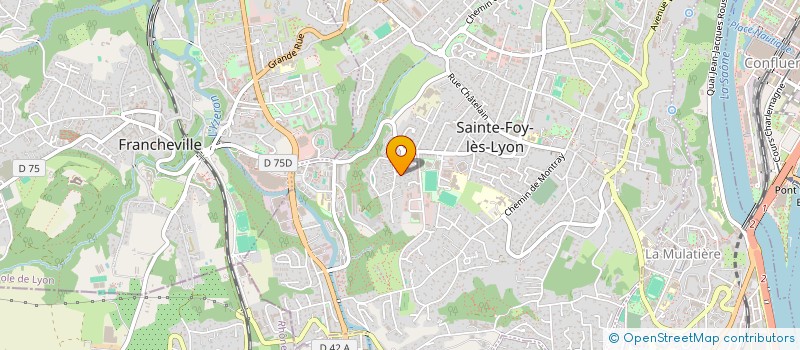 localisation de l'entreprise LA TOUR FRAHVERN  SAINTE-FOY-LES-LYON