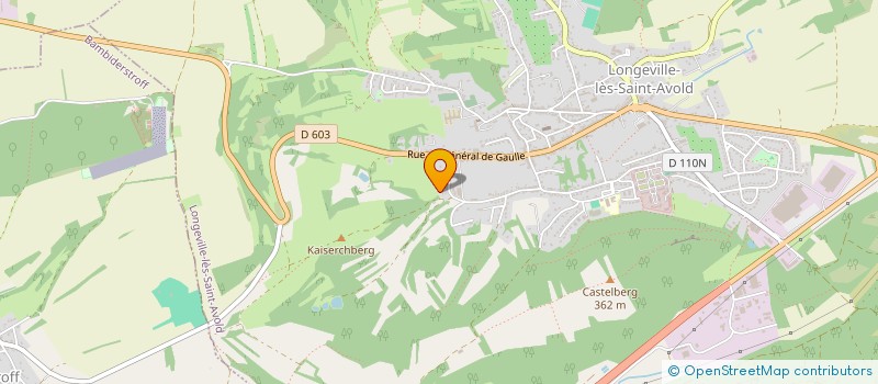 localisation de l'entreprise LA TROUPE DES PETITS UTOPISTES  LONGEVILLE-LES-SAINT-AVOLD