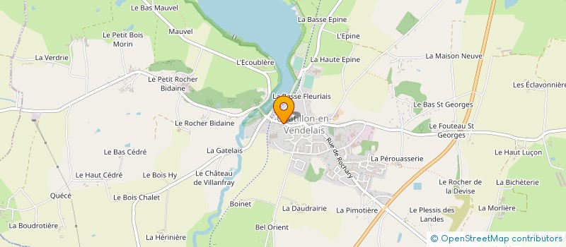 localisation de l'entreprise LA TULIPE NOIRE  CHATILLON-EN-VENDELAIS