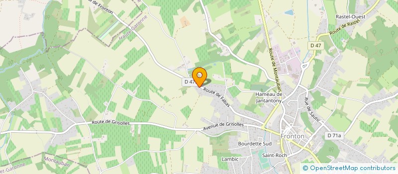 localisation de l'entreprise LA VALLEE DES OLIVIERS CAUSSADE  FRONTON