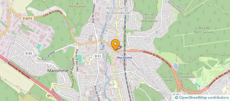 localisation de l'entreprise LA VIE EN FLEURS  DEVILLE-LES-ROUEN