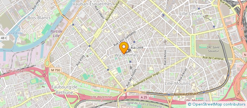 localisation de l'entreprise LA VILLA DE TSING TAO à LILLE