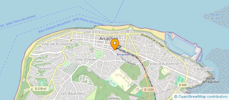 localisation de l'entreprise LABEL POUR LES ARTISTES EMERGENTS YEARNING FRANCE  ARCACHON