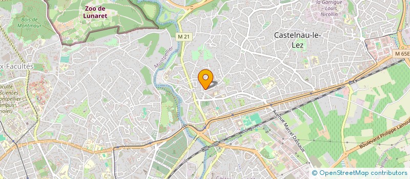 localisation de l'entreprise LABORATOIRE N IOVINO  CASTELNAU-LE-LEZ