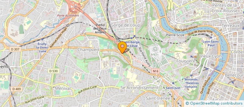 localisation de l'entreprise LABORATOIRE OMARE  LYON