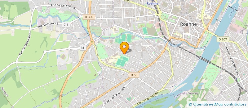 localisation de l'entreprise LADIES' CIRCLE 106 ROANNE EN FORMATION  ROANNE