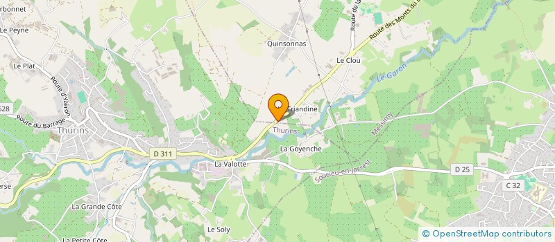 localisation de l'entreprise LADY NETTOYAGE  THURINS