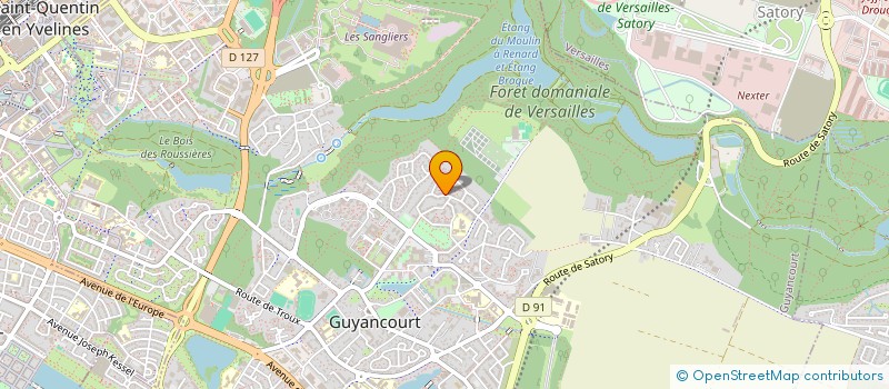 localisation de l'entreprise LADYDRIVE  GUYANCOURT