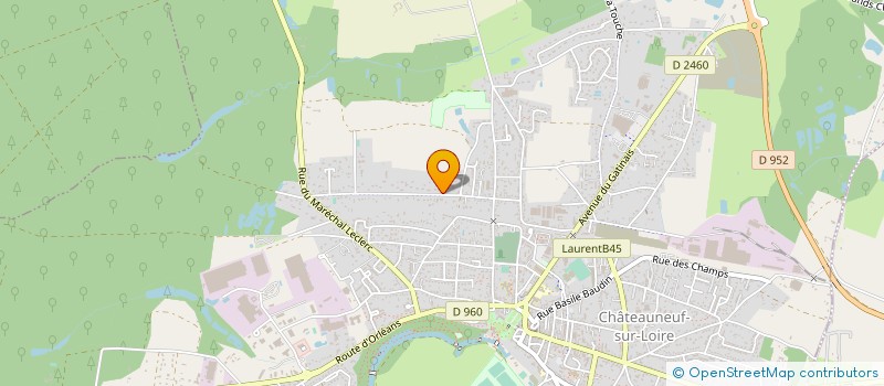 localisation de l'entreprise LAETIFLO à CHATEAUNEUF S LOIRE