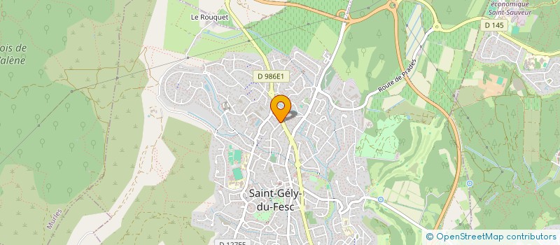 localisation de l'entreprise LAETITIA ET LAETITIA AND CO à SAINT-GELY-DU-FESC