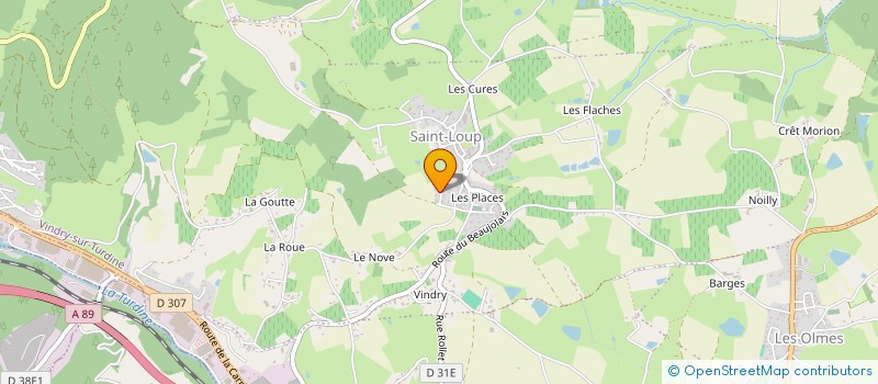 localisation de l'entreprise LAGOUTTE DOMINIQUE  VINDRY-SUR-TURDINE