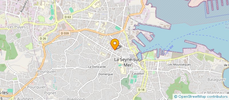 localisation de l'entreprise LAGS (L'ATELIER DU GAZON SYNTHETIQUE) à LA SEYNE-SUR-MER