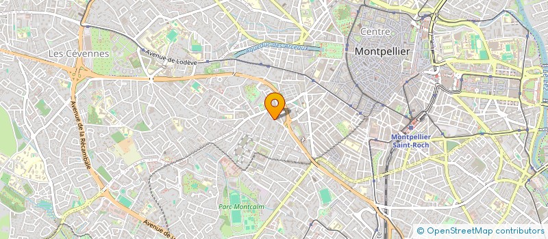 localisation de l'entreprise LAM RARE BOOKS à MONTPELLIER