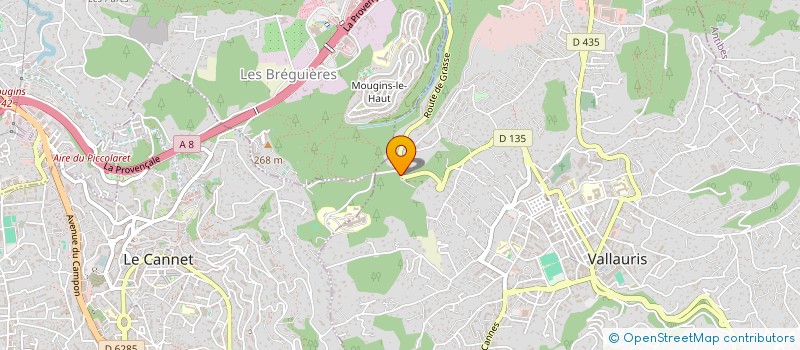 localisation de l'entreprise LAMIS  VALLAURIS
