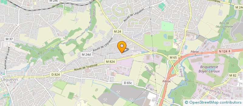 localisation de l'entreprise LAMPROSPLUS  PIBRAC