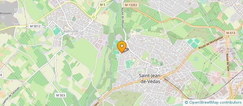 localisation de l'entreprise LANDES OCEAN  SAINT-JEAN-DE-VEDAS