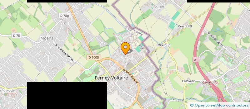 localisation de l'entreprise LANGLAIS BENOIT ET STEPHANIE à FERNEY-VOLTAIRE