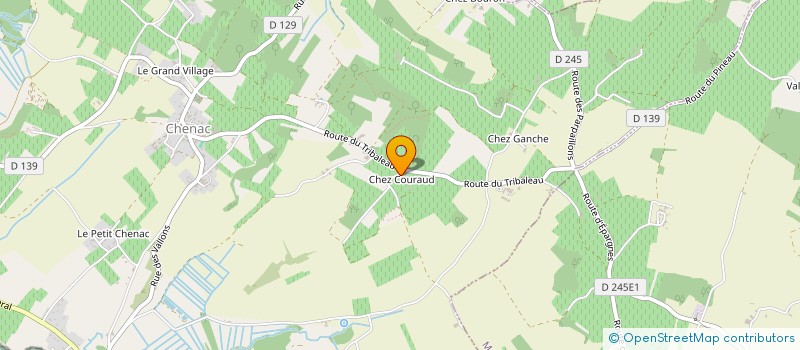 localisation de l'entreprise LANGUE ACTUELLE à CHENAC-SAINT-SEURIN-D'UZET