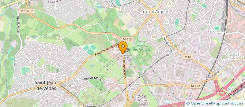 localisation de l'entreprise LANGUEDOC FACONNAGE à SAINT-JEAN-DE-VEDAS