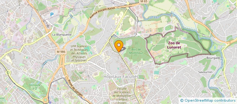localisation de l'entreprise LANGUEDOCIENNE POUR LA JEUNESSE à MONTPELLIER