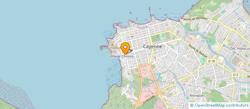 localisation de l'entreprise LARGE SERVICES  CAYENNE