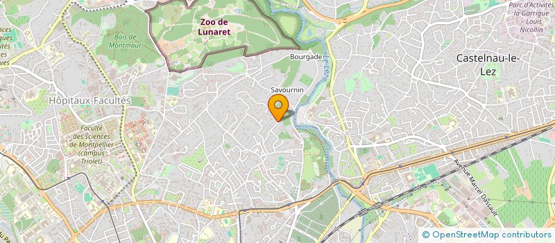 localisation de l'entreprise LAS ELECTROMAGNETICAS à MONTPELLIER