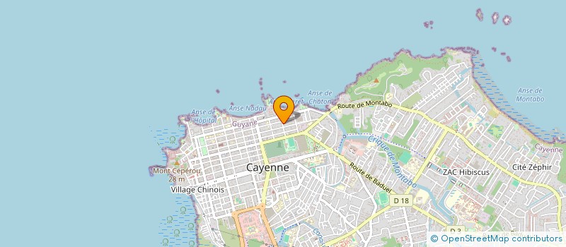 localisation de l'entreprise LATEULYE ARTISTIK  CAYENNE