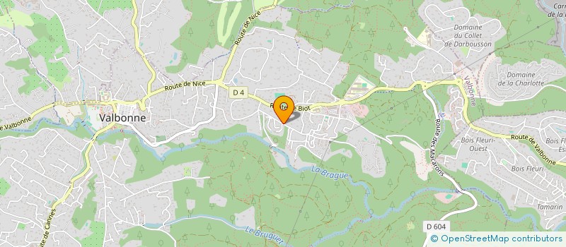 localisation de l'entreprise LAURENT BIG INVEST à VALBONNE