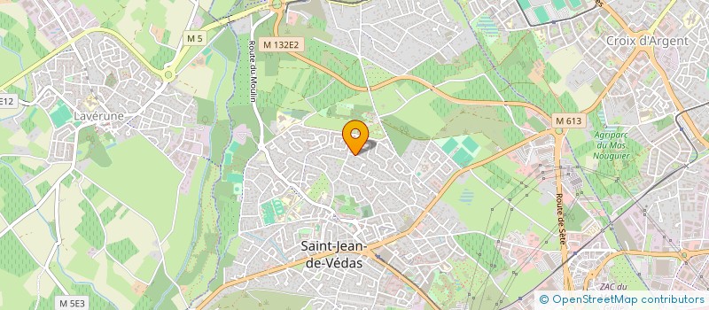 localisation de l'entreprise LAURENT BLONDIAU CONSEILS  SAINT-JEAN-DE-VEDAS