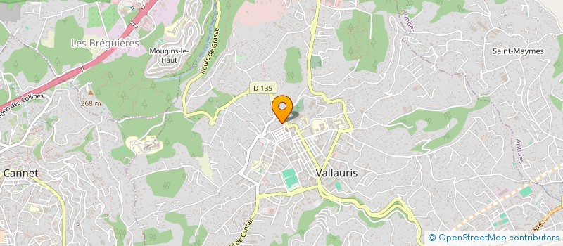 localisation de l'entreprise LAURENT PEINTURE MARINE  VALLAURIS