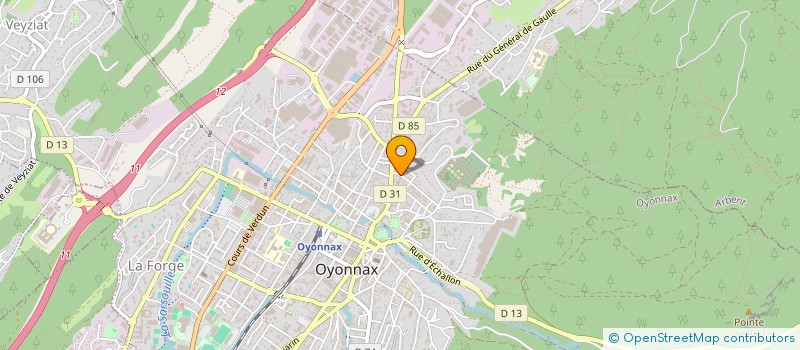 localisation de l'entreprise LAVA PIERRE DE LUNE à OYONNAX