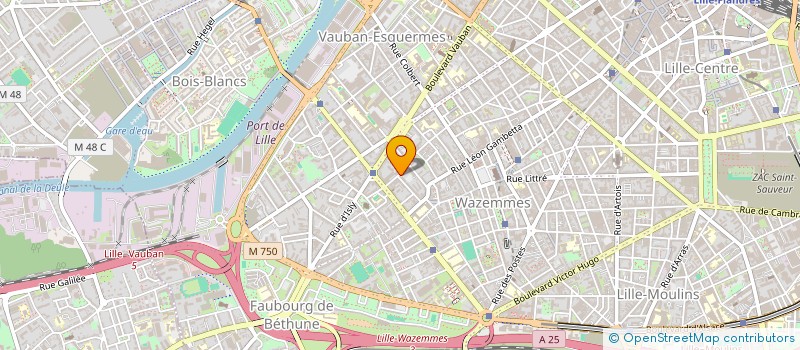localisation de l'entreprise LAVOMATIC 6 à LILLE
