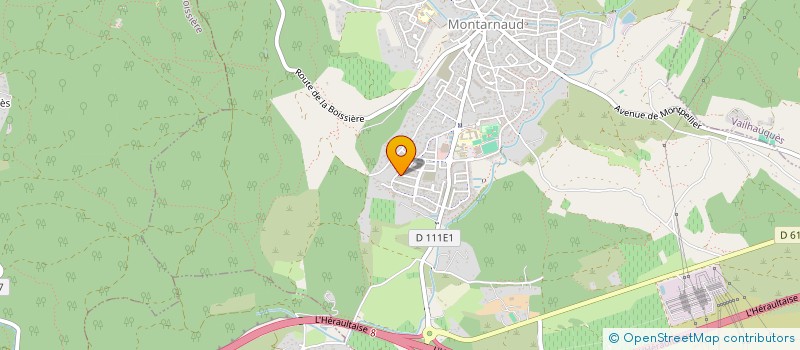 localisation de l'entreprise LAYALI  MONTARNAUD