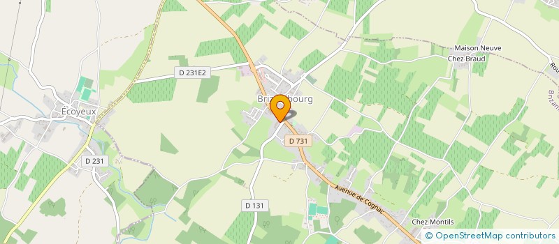 localisation de l'entreprise LAYAS TRESAS  BRIZAMBOURG