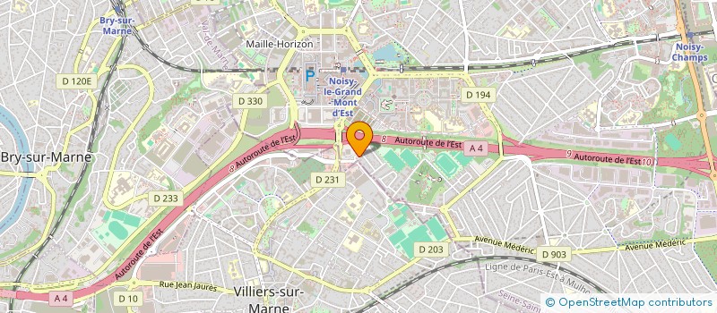 localisation de l'entreprise LAYER DATA CONSULTING à NOISY-LE-GRAND