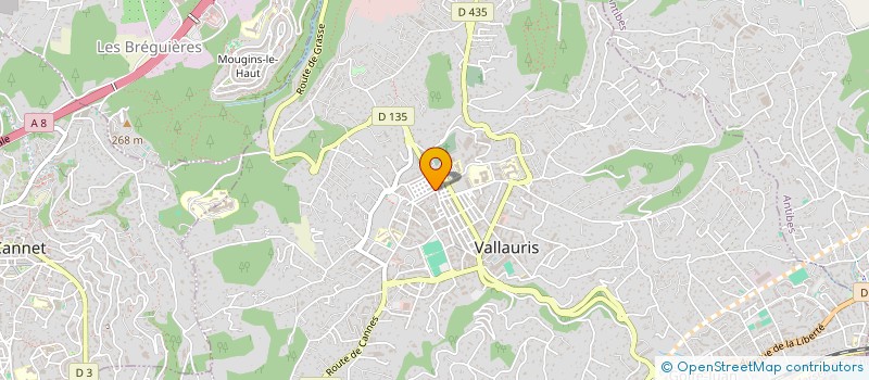 localisation de l'entreprise LAYET ET LEYNAUD à VALLAURIS