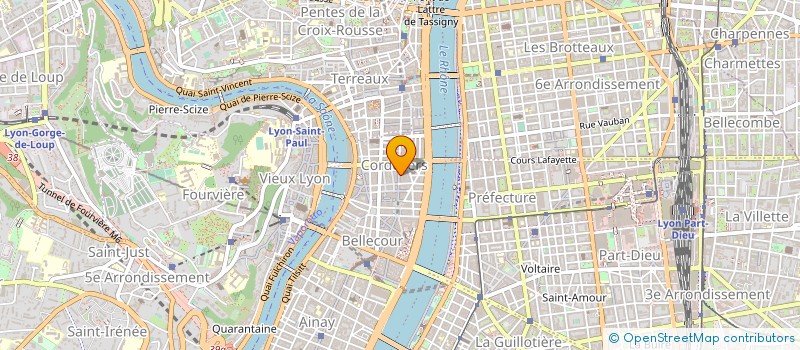 localisation de l'entreprise LAYS PELLET ET ASSOCIES à LYON