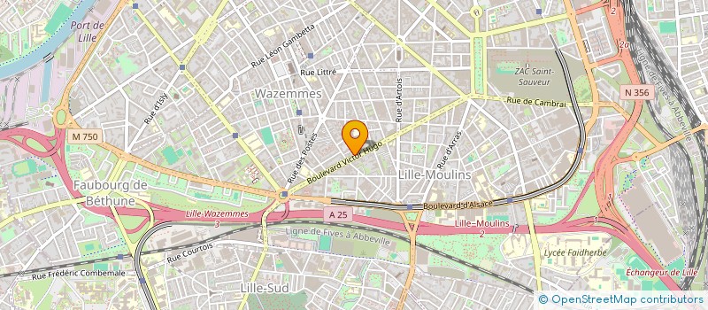 localisation de l'entreprise LAZ MULTISERVICES à LILLE