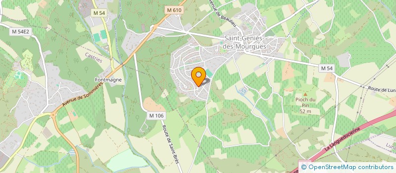 localisation de l'entreprise LAZARINE  SAINT-GENIES-DES-MOURGUES