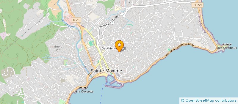 localisation de l'entreprise LAZER MED à SAINTE-MAXIME