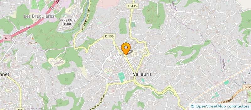 localisation de l'entreprise LB ELEC à VALLAURIS